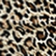 Sexy Leopard Split Thigh High Waist Midi Women Skirts