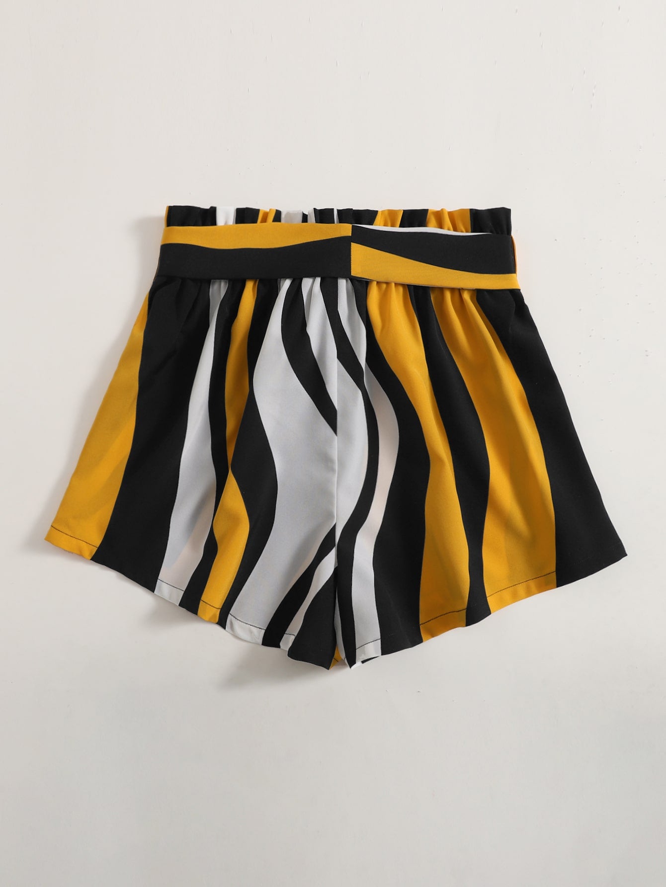 Paperbag Waist Belted Colorblock Shorts