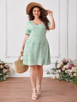 Plus Size Dresses Producers