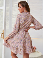 Ditsy Floral Print Ruffle Neck A-line Dress
