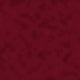 Basics Plain Capris Women Leggings