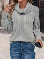 Casual Long Sleeve Turtleneck Plain Loose Regular Blouse