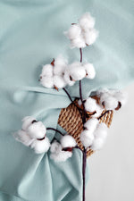 Trendy Plus Size Wholesale Vendors