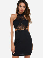Wholesale Black Halter Sleeveless Crochet Lace Embellished Zip Back Backless Hollow Mini Dresses