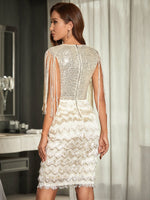 Fringe Sleeve Mesh Yoke Contrast Sequin Dress