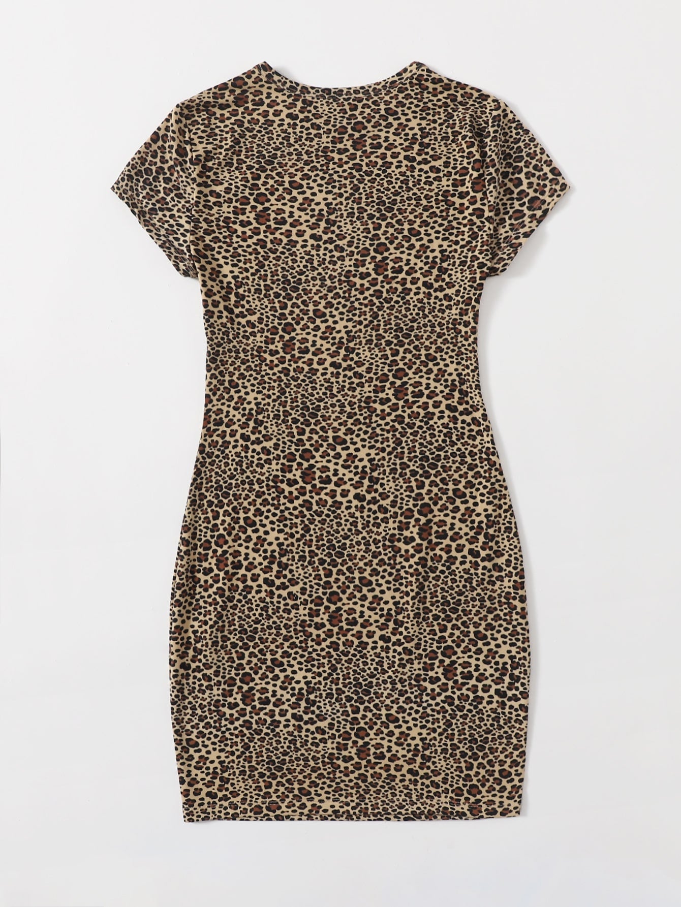 Leopard Print Dress