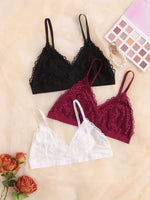 Women Bras & Bralettes Wholesaler