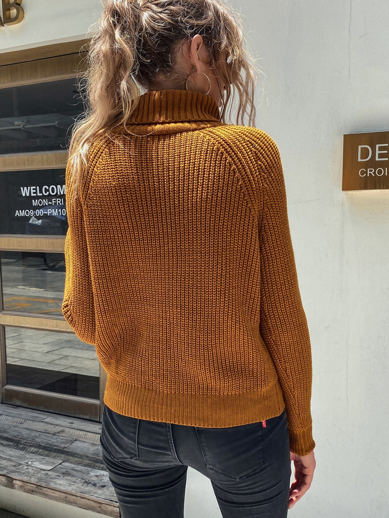 Turtleneck Raglan Sleeve Sweater