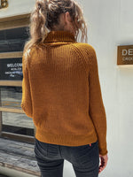 Turtleneck Raglan Sleeve Sweater