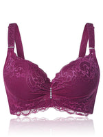 Custom Discount Plus Size Intimates