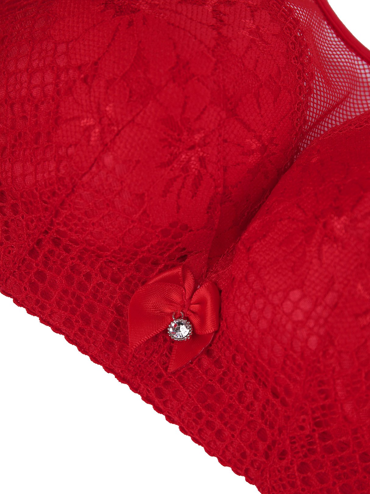 Plus Size Intimates