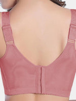 Plus Size Intimates Online