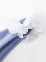 OEM Ladies Sky Blue Bikinis