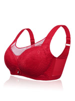 Custom Discount Plus Size Intimates