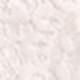 Sexy Plain Half Sleeve Cold Shoulder High Waist Women Bodysuit