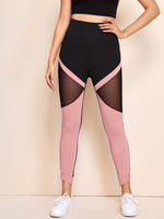 Plus Size Swimwear Companies