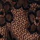 Sexy Plain Sheer Short Sleeve Deep V Neck High Waist Women Bodysuit