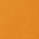 Basics Plain Short Sleeve Scoop Neck Natural Women Bodysuit