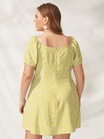 Zekaryas Solomon Women Clothing Producers