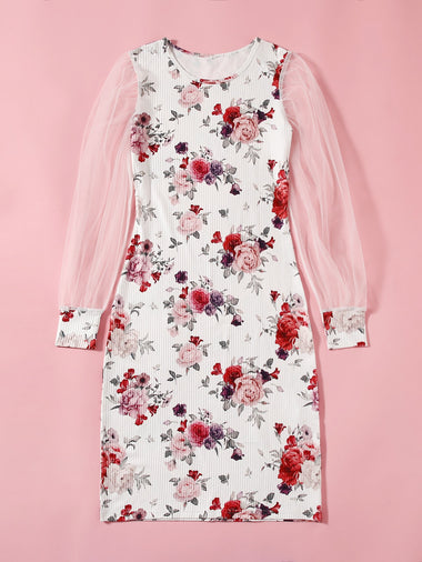 Women Dresses Producer