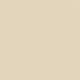 Casual Plain Backless Sleeveless Spaghetti Strap Natural Women Bodysuit