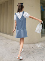 Two Tone Ruffle Puff Sleeve Smock Dress