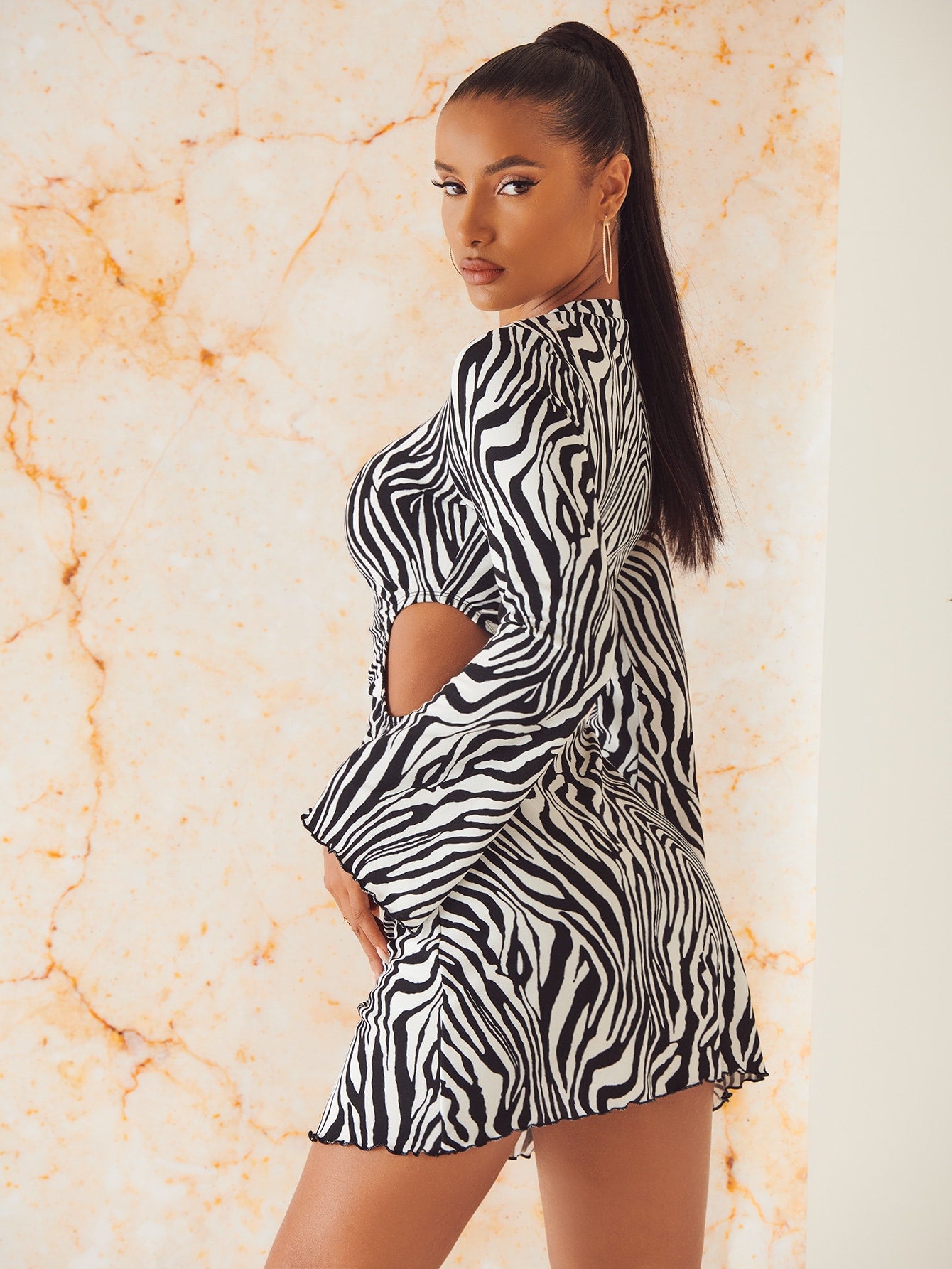 Zebra Stripe Print Cut Out Waist Dress