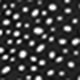 All Over Print Shirred Half Sleeve V Neck Flared High Waist Women Short Dress