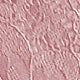 Elegant Plain Contrast Lace High Waist Knee Length Women Skirt