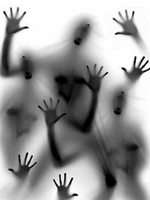 Plus Size T-shirts Supplier