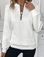 Casual Long Sleeve Hoodie Plain Zipper Loose Regular Sweatshirt