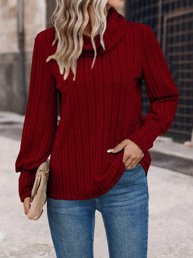 Casual Long Sleeve Turtleneck Plain Loose Regular Blouse