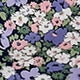 All Over Print Ruched Bust Short Sleeve Off The Shoulder Flounce High Waist Short Dress