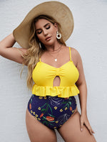 Plus Size One-Pieces Producers