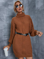 Rolled Neck Sweater Dress Without Belt