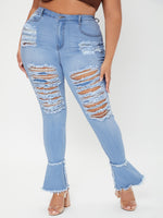 Plus Size Jeans Producer