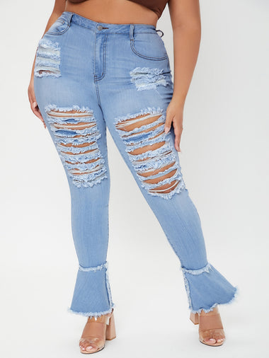 Plus Size Jeans Producer