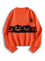 Women Sweaters Wholesalers