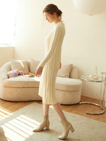 Women Sweater Dresses Producer