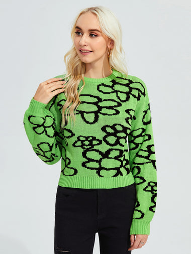 Women Sweaters Producers