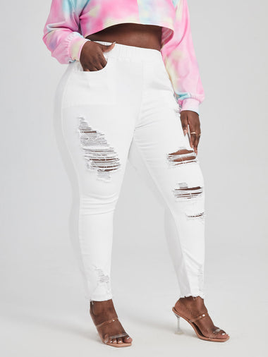Plus Size Jeans Producer