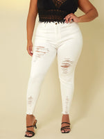 Plus Size Jeans Producers