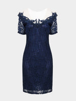 Wholesale V-Neck Lace Sexy Dress