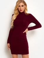 ODM Ladies Long Sleeve Mini Dress