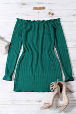 Womens Long Sleeve Mini Dress