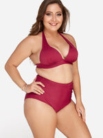 OEM Ladies Burgundy Plus Size Swimwear