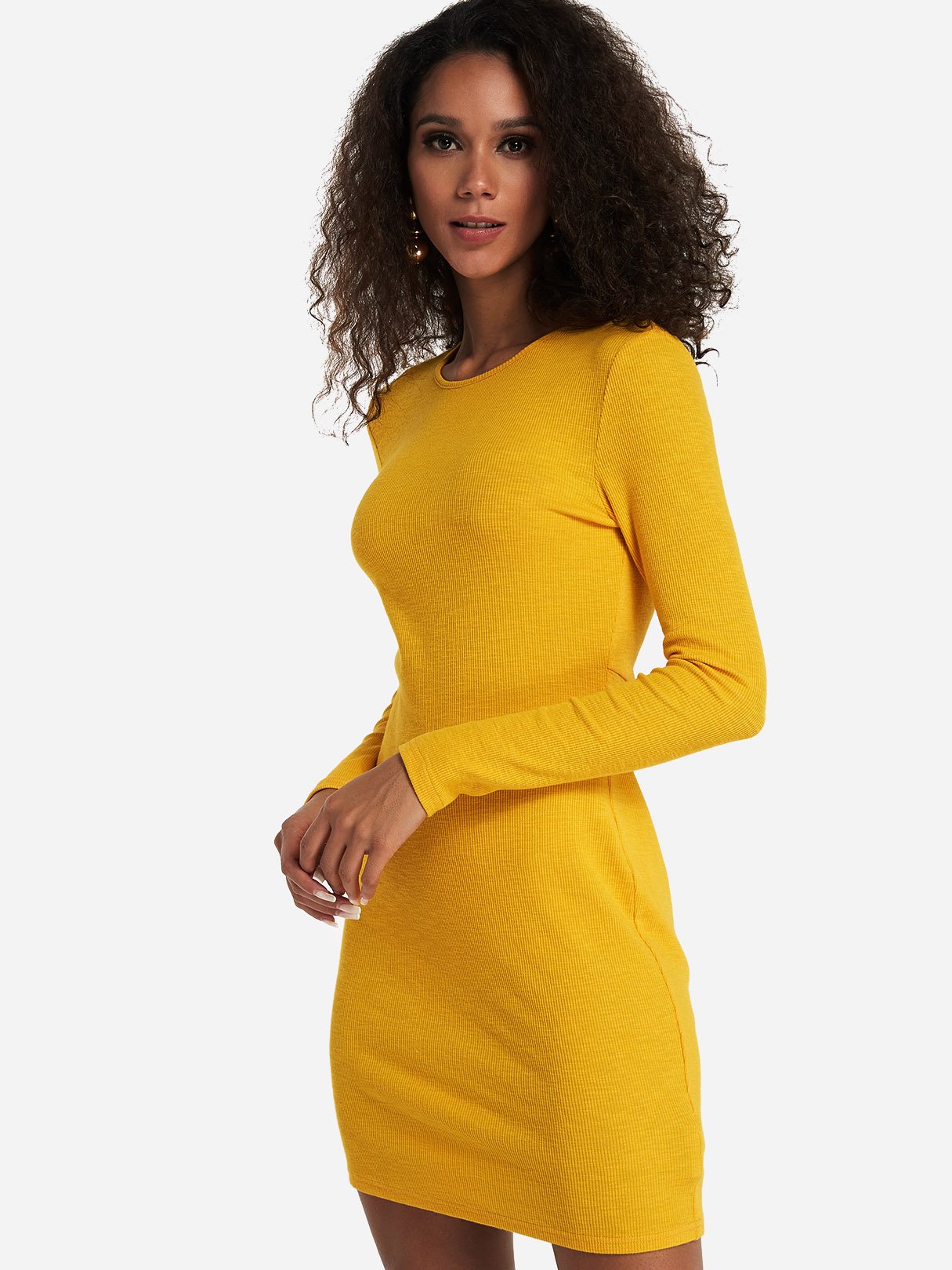 ODM Ladies Long Sleeve Mini Dress