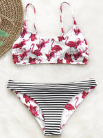 OEM Ladies Multi Bikinis